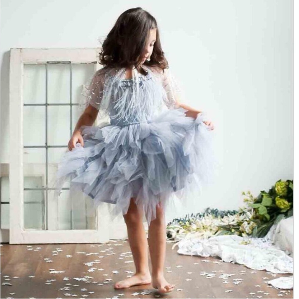 3. Swan Queen Little Princess Feathers Ruffles Dress